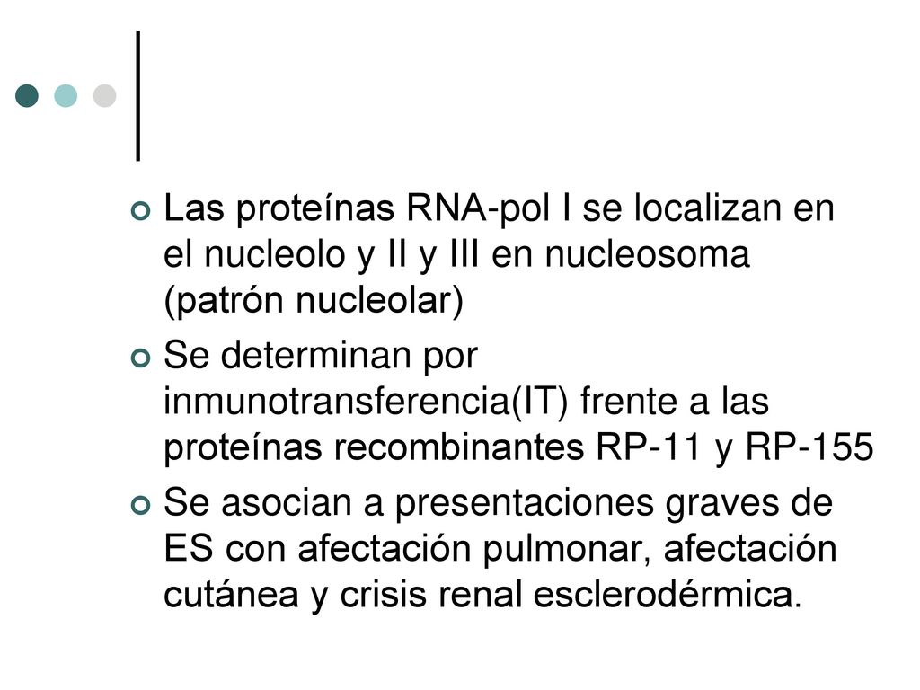 Las proteínas RNA-pol I se localizan en el nucleolo y II y III en nucleosoma (patrón nucleolar)