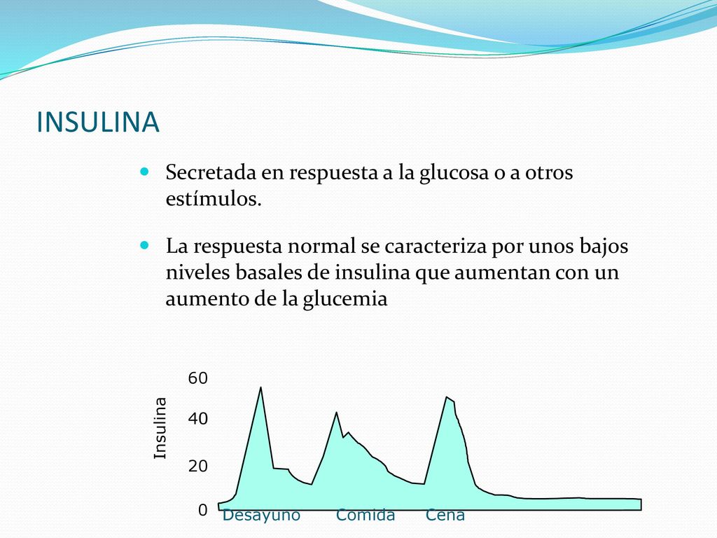 INSULINA Secretada en respuesta a la glucosa o a otros estímulos.