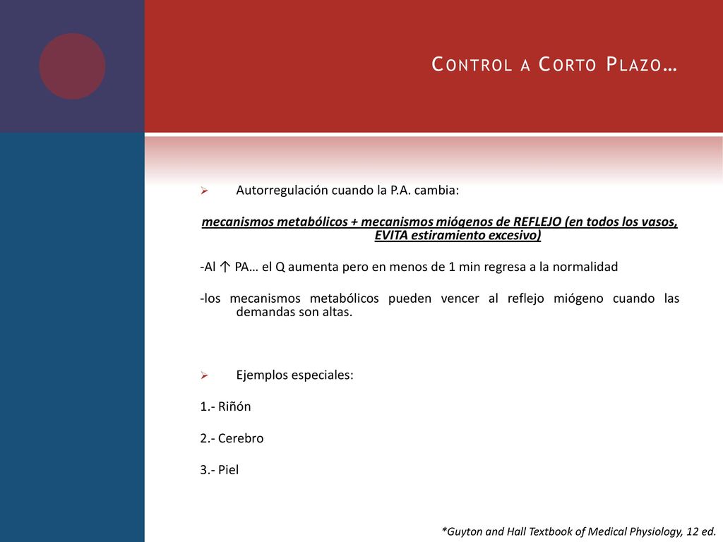 Control a Corto Plazo… Autorregulación cuando la P.A. cambia: