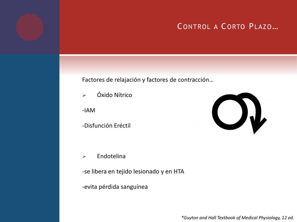 Control a Corto Plazo… Factores de relajación y factores de contracción… Óxido Nítrico. -IAM. -Disfunción Eréctil.