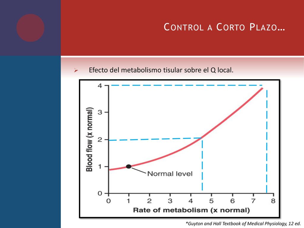 Control a Corto Plazo… Efecto del metabolismo tisular sobre el Q local.