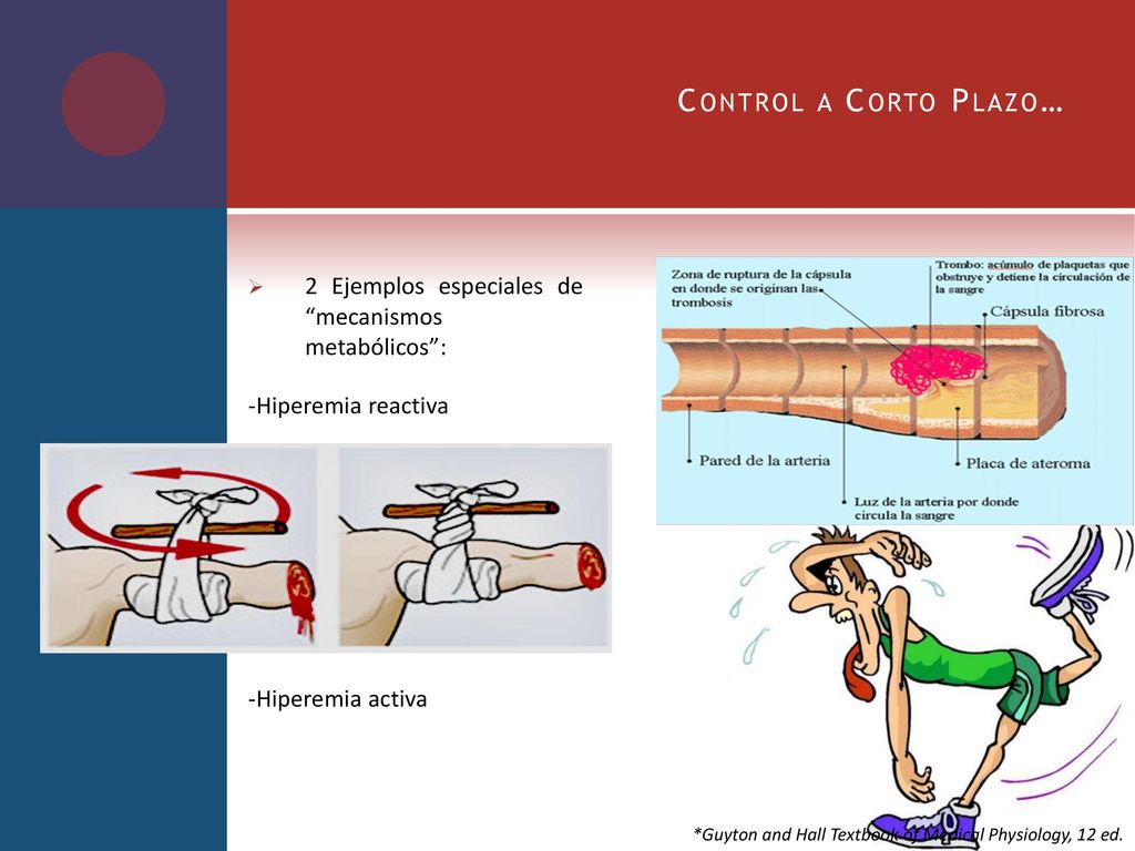 Control a Corto Plazo… 2 Ejemplos especiales de mecanismos metabólicos : -Hiperemia reactiva. -Hiperemia activa.