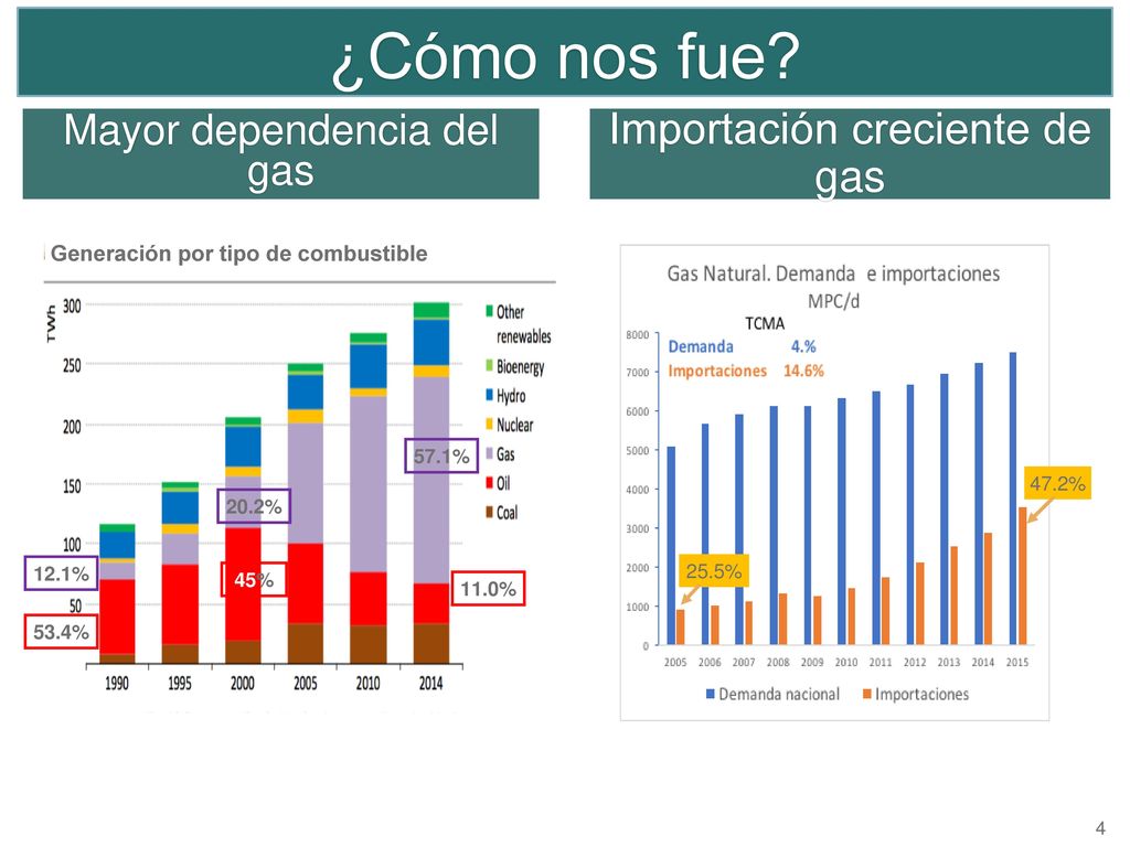 Generación por tipo de combustible