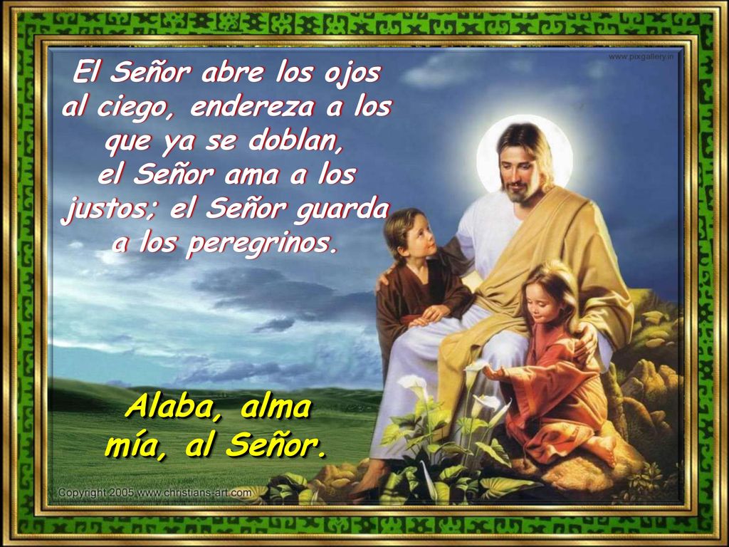 El Señor abre los ojos al ciego, endereza a los que ya se doblan, el Señor ama a los justos; el Señor guarda a los peregrinos.