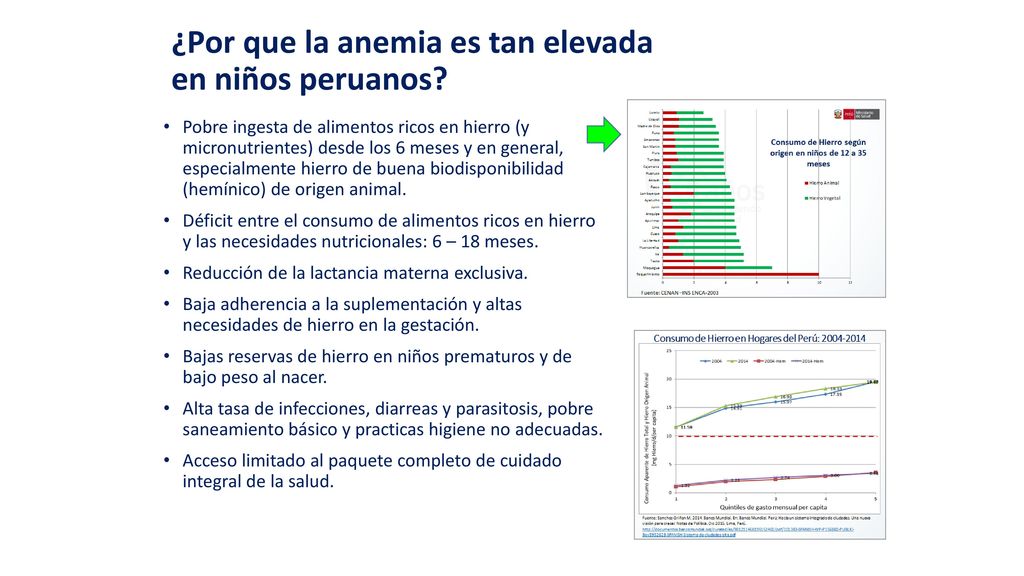 ¿Por que la anemia es tan elevada en niños peruanos