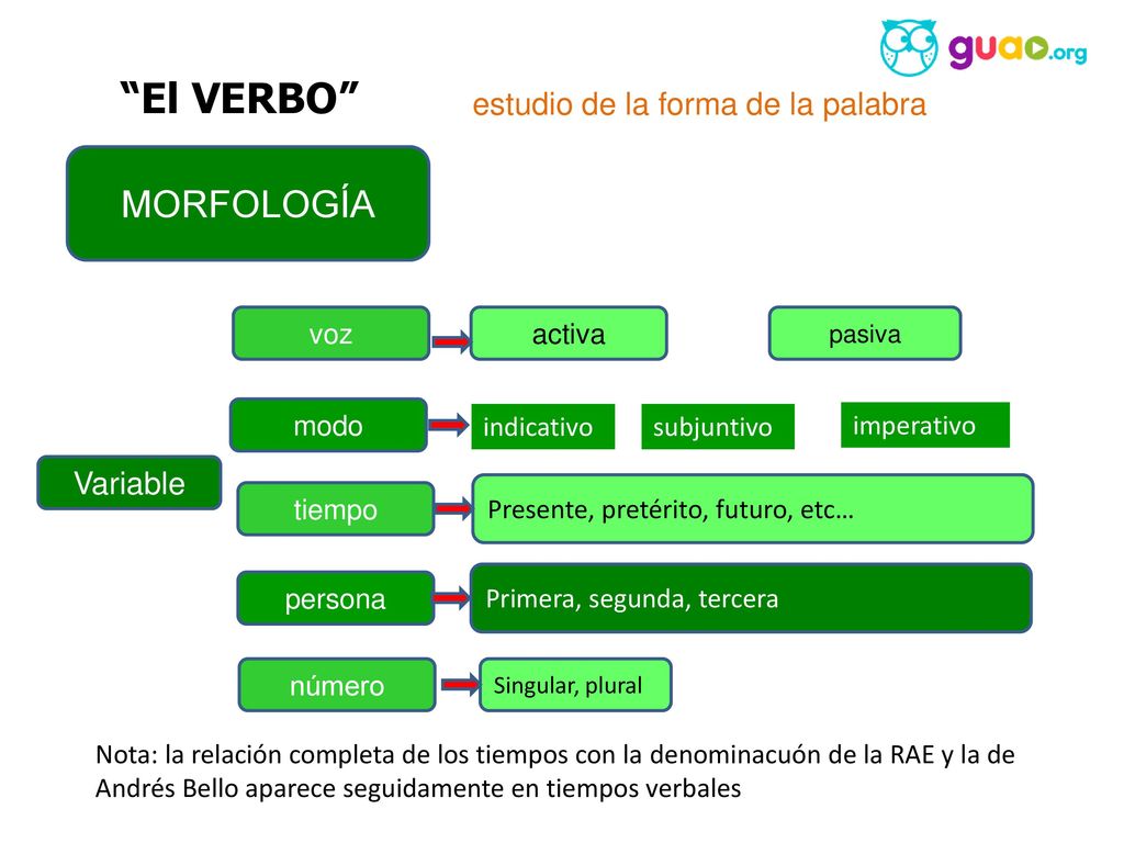 El VERBO MORFOLOGÍA estudio de la forma de la palabra Variable voz