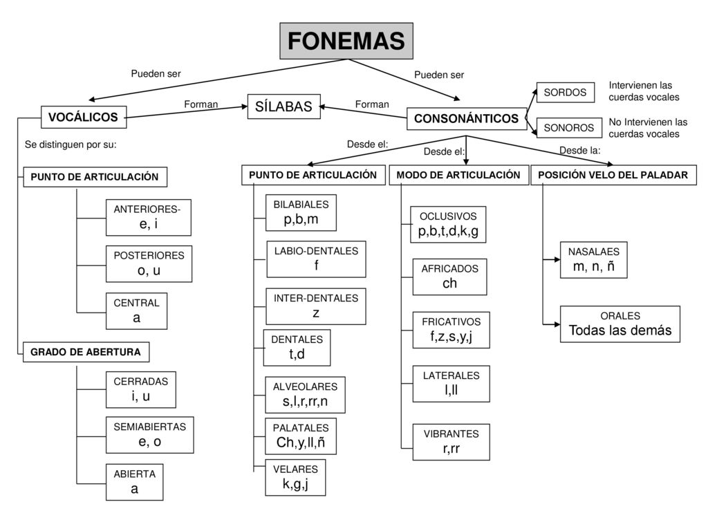 FONEMAS SÍLABAS p,b,m e, i p,b,t,d,k,g f m, n, ñ o, u ch z a