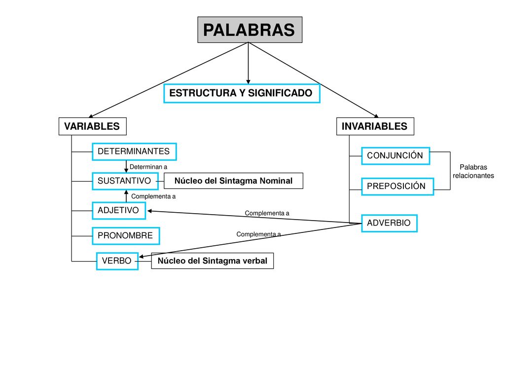 Núcleo del Sintagma Nominal Núcleo del Sintagma verbal
