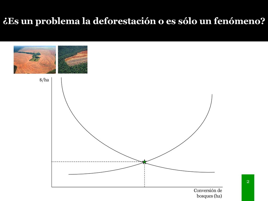 ¿Es un problema la deforestación o es sólo un fenómeno