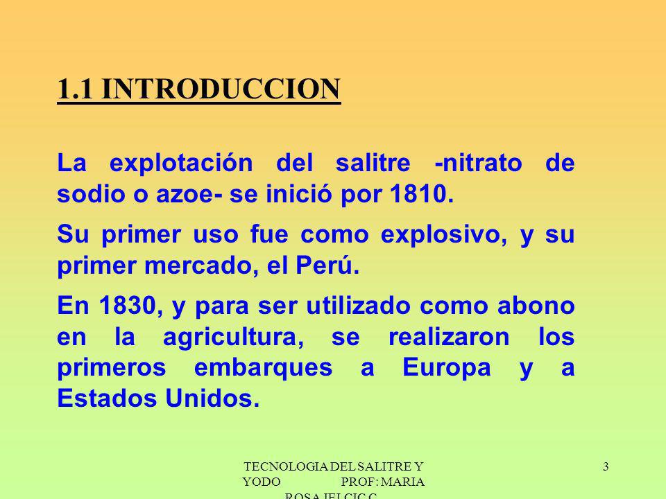 TECNOLOGIA DEL SALITRE Y YODO PROF: MARIA ROSA JELCIC C.