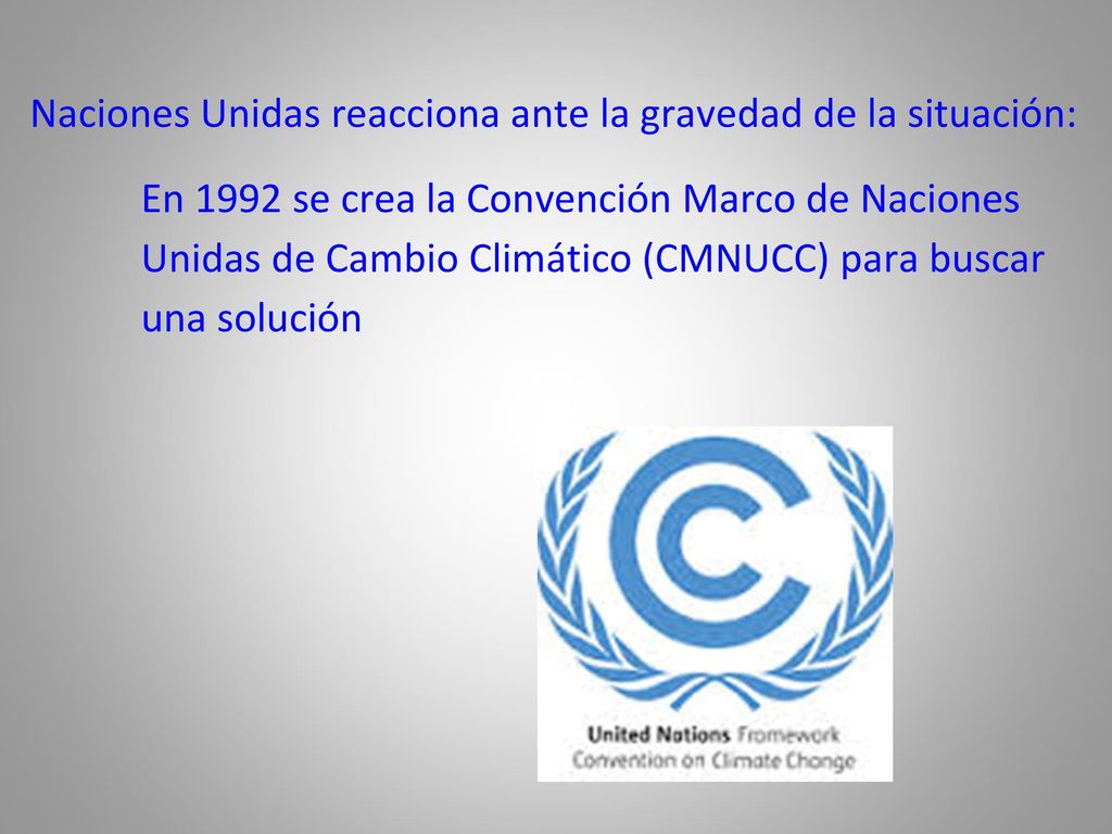 Naciones Unidas reacciona ante la gravedad de la situación: En 1992 se crea la Convención Marco de Naciones Unidas de Cambio Climático (CMNUCC) para buscar una solución