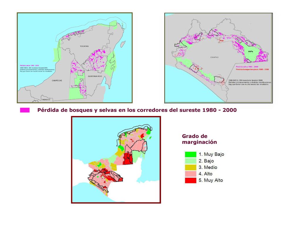 Pérdida de bosques y selvas en los corredores del sureste