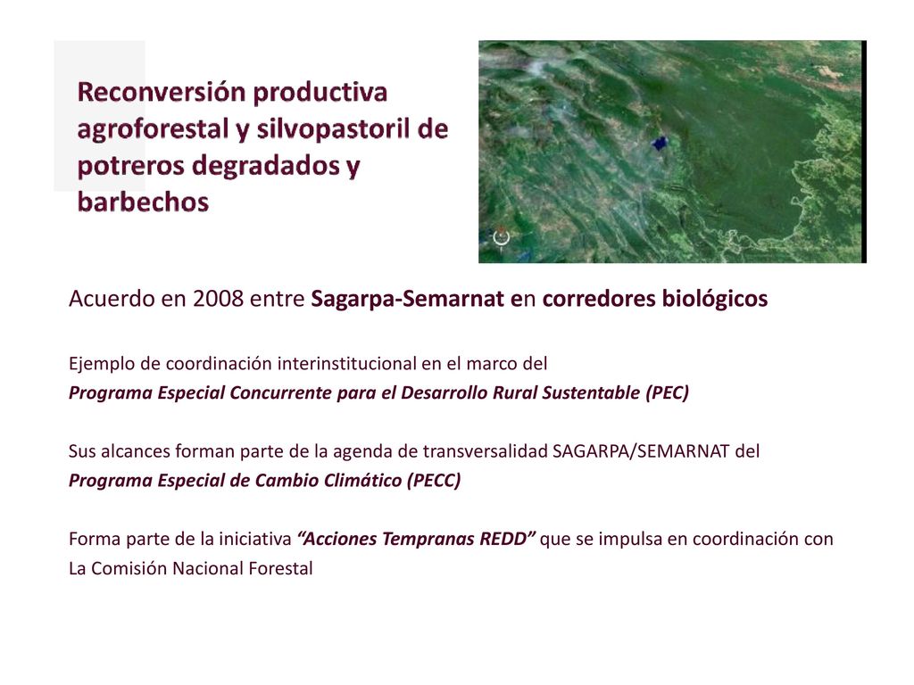 Acuerdo en 2008 entre Sagarpa-Semarnat en corredores biológicos