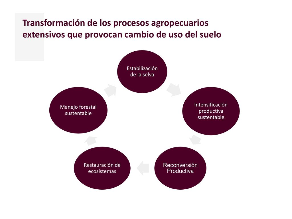 Transformación de los procesos agropecuarios extensivos que provocan cambio de uso del suelo