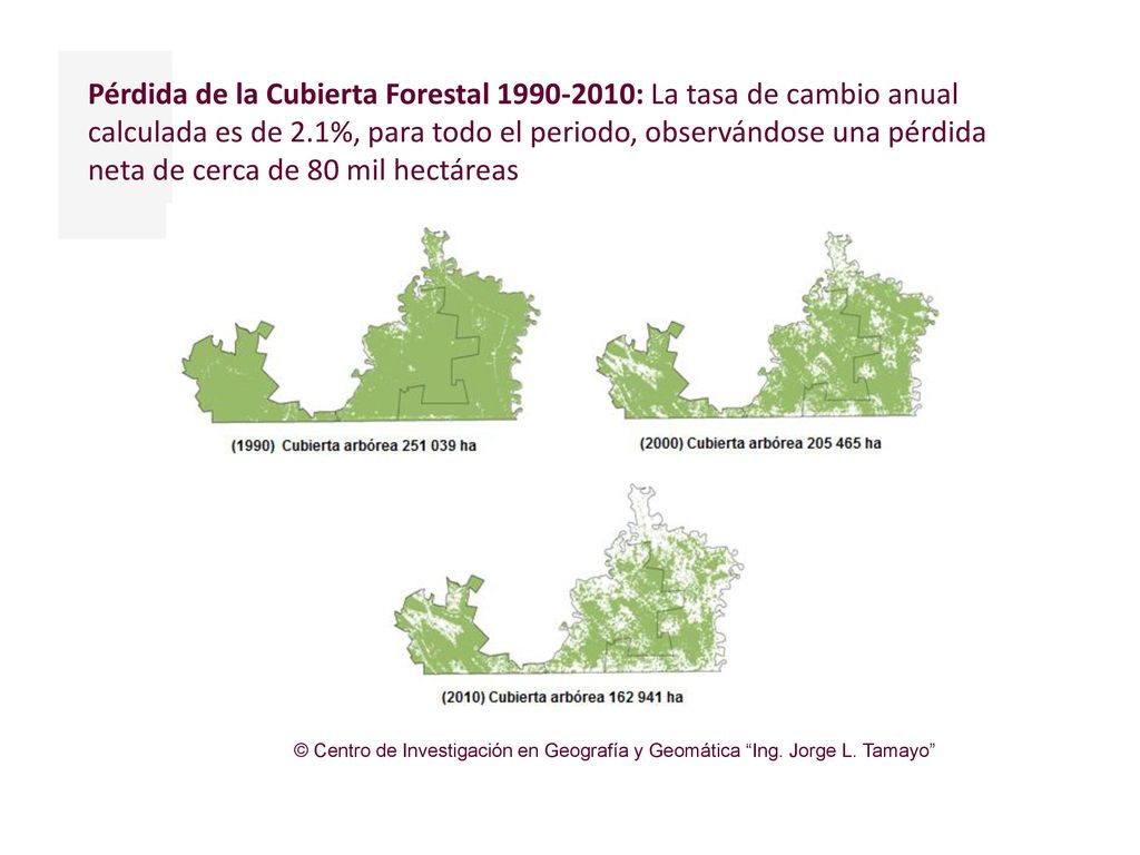 Pérdida de la Cubierta Forestal : La tasa de cambio anual