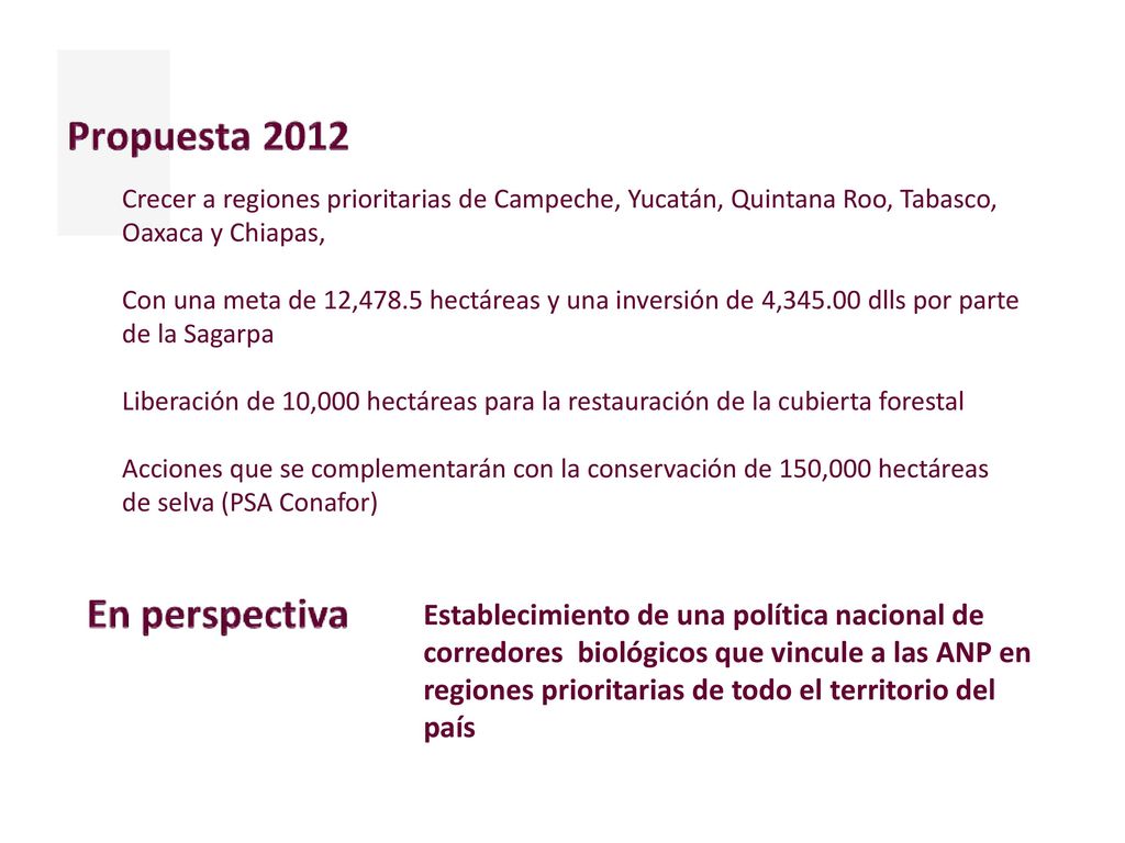 Crecer a regiones prioritarias de Campeche, Yucatán, Quintana Roo, Tabasco, Oaxaca y Chiapas,