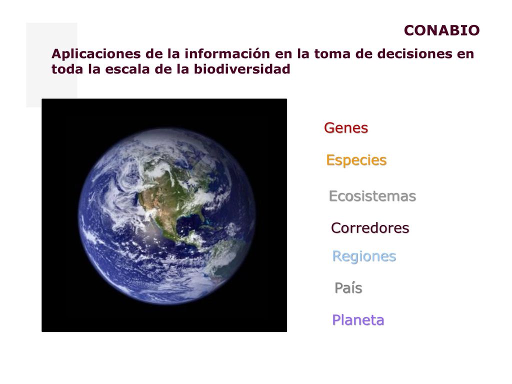 CONABIO Genes Especies Ecosistemas Corredores Regiones País Planeta
