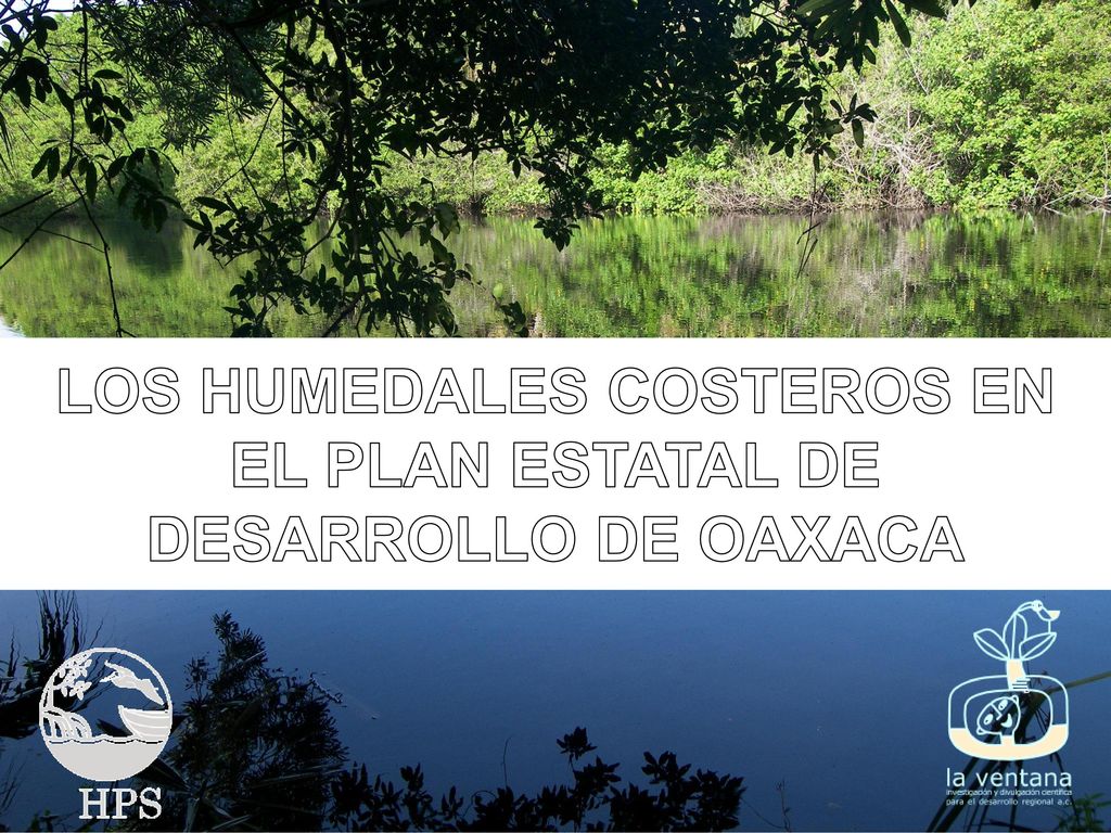 LOS HUMEDALES COSTEROS EN EL PLAN ESTATAL DE DESARROLLO DE OAXACA