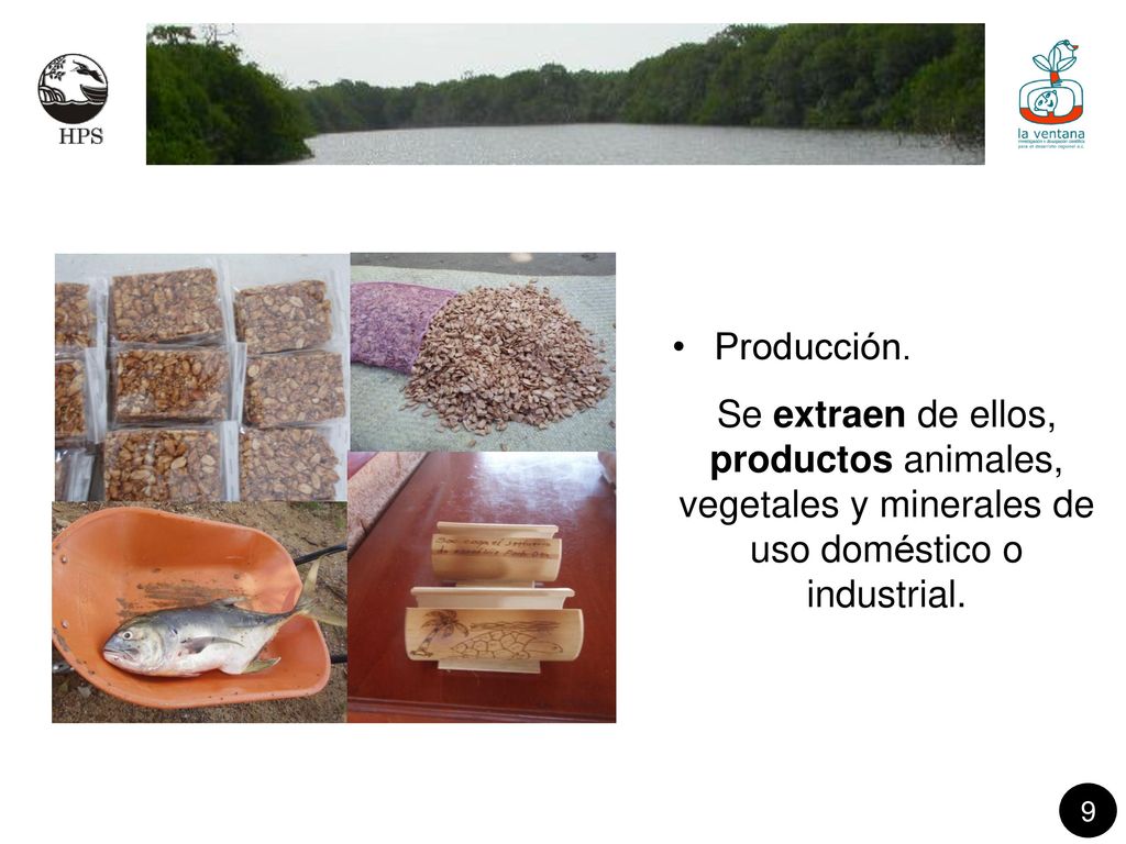 Producción. Se extraen de ellos, productos animales, vegetales y minerales de uso doméstico o industrial.