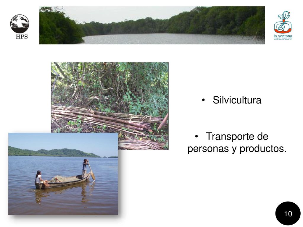 Transporte de personas y productos.