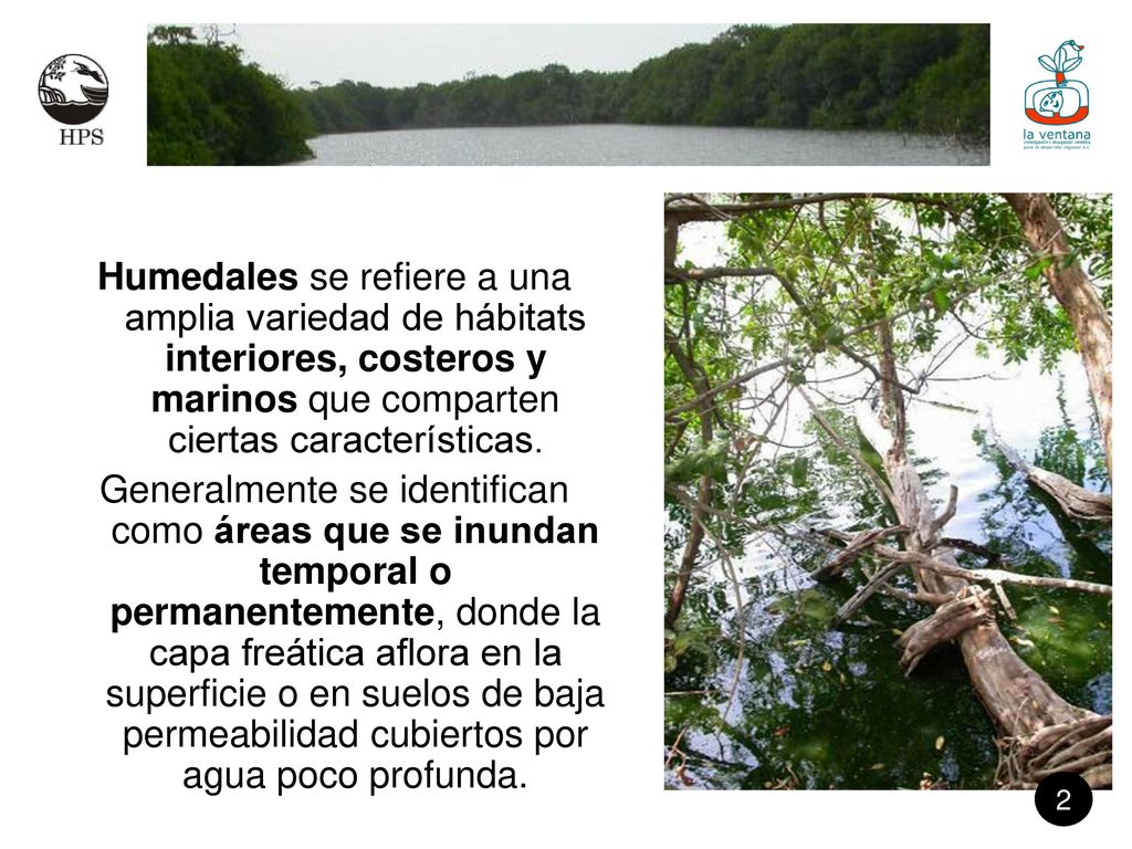 Humedales se refiere a una amplia variedad de hábitats interiores, costeros y marinos que comparten ciertas características.