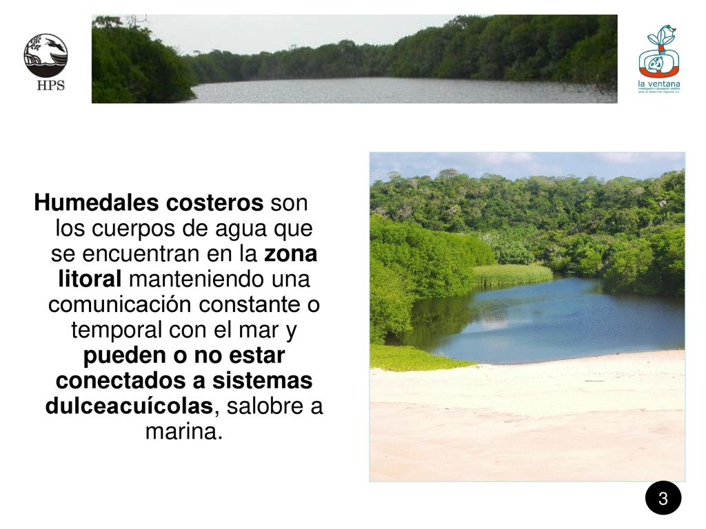 Humedales costeros son los cuerpos de agua que se encuentran en la zona litoral manteniendo una comunicación constante o temporal con el mar y pueden o no estar conectados a sistemas dulceacuícolas, salobre a marina.