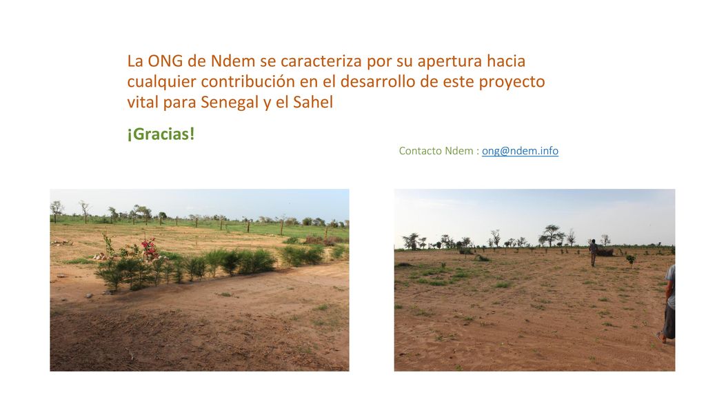 La ONG de Ndem se caracteriza por su apertura hacia cualquier contribución en el desarrollo de este proyecto vital para Senegal y el Sahel