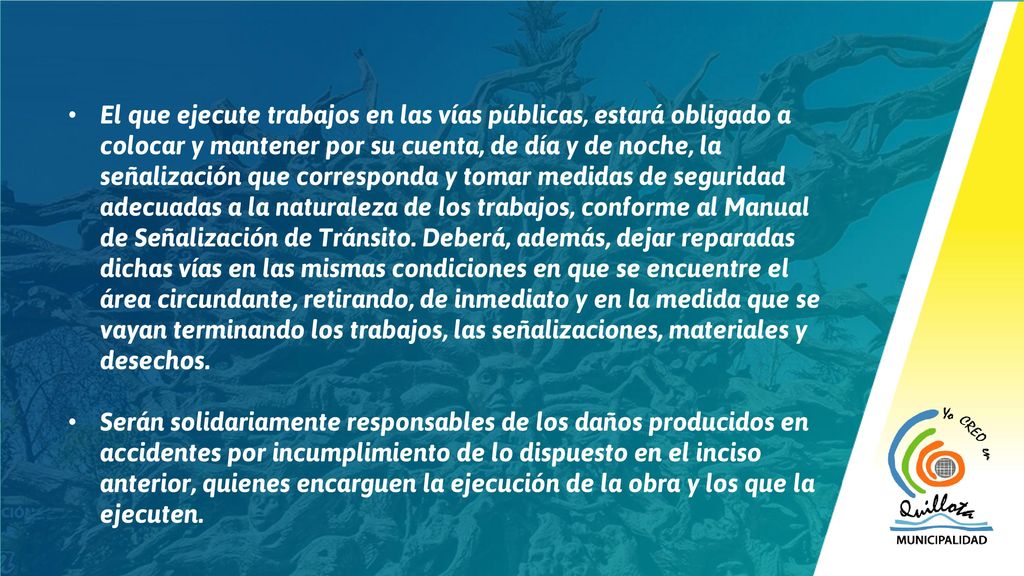 El que ejecute trabajos en las vías públicas, estará obligado a colocar y mantener por su cuenta, de día y de noche, la señalización que corresponda y tomar medidas de seguridad adecuadas a la naturaleza de los trabajos, conforme al Manual de Señalización de Tránsito. Deberá, además, dejar reparadas dichas vías en las mismas condiciones en que se encuentre el área circundante, retirando, de inmediato y en la medida que se vayan terminando los trabajos, las señalizaciones, materiales y desechos.