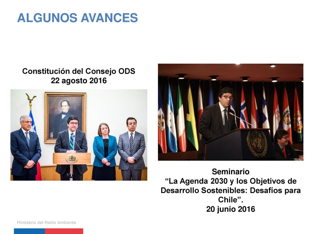 ALGUNOS AVANCES Constitución del Consejo ODS 22 agosto 2016 Seminario
