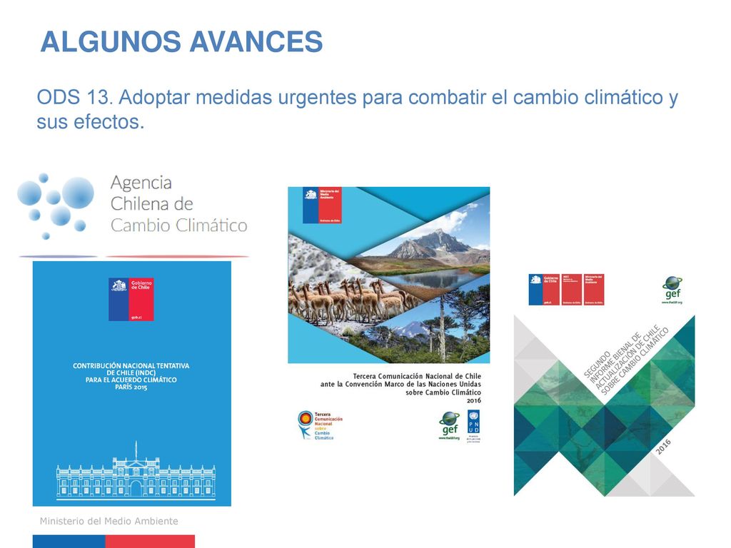 ALGUNOS AVANCES ODS 13. Adoptar medidas urgentes para combatir el cambio climático y sus efectos.