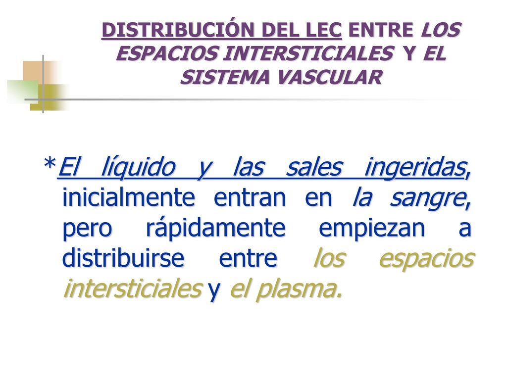 DISTRIBUCIÓN DEL LEC ENTRE LOS ESPACIOS INTERSTICIALES Y EL SISTEMA VASCULAR