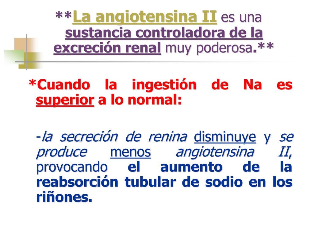 **La angiotensina II es una sustancia controladora de la excreción renal muy poderosa.**