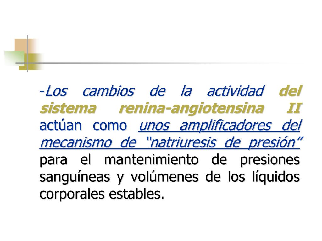 -Los cambios de la actividad del sistema renina-angiotensina II actúan como unos amplificadores del mecanismo de natriuresis de presión para el mantenimiento de presiones sanguíneas y volúmenes de los líquidos corporales estables.
