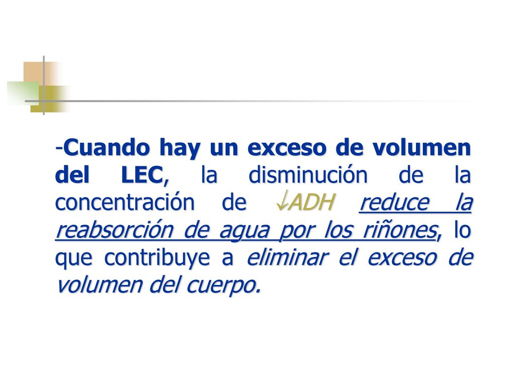 -Cuando hay un exceso de volumen del LEC, la disminución de la concentración de ADH reduce la reabsorción de agua por los riñones, lo que contribuye a eliminar el exceso de volumen del cuerpo.