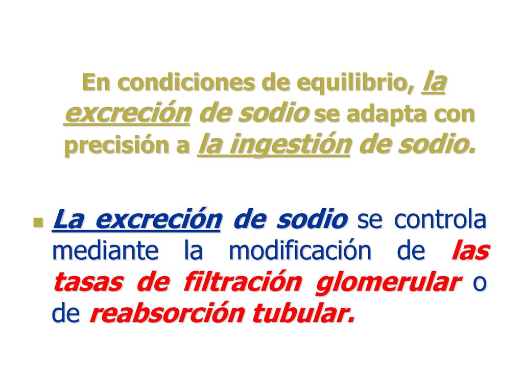 En condiciones de equilibrio, la excreción de sodio se adapta con precisión a la ingestión de sodio.