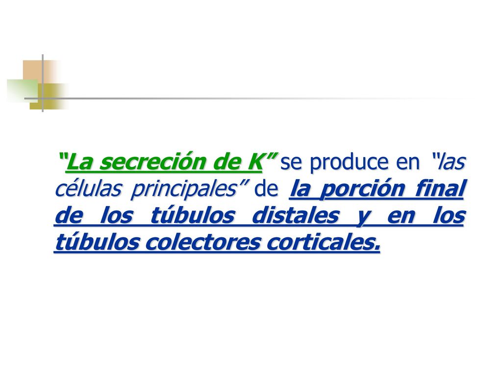 La secreción de K se produce en las células principales de la porción final de los túbulos distales y en los túbulos colectores corticales.
