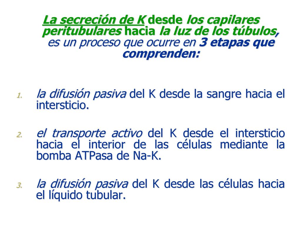 La secreción de K desde los capilares peritubulares hacia la luz de los túbulos, es un proceso que ocurre en 3 etapas que comprenden: