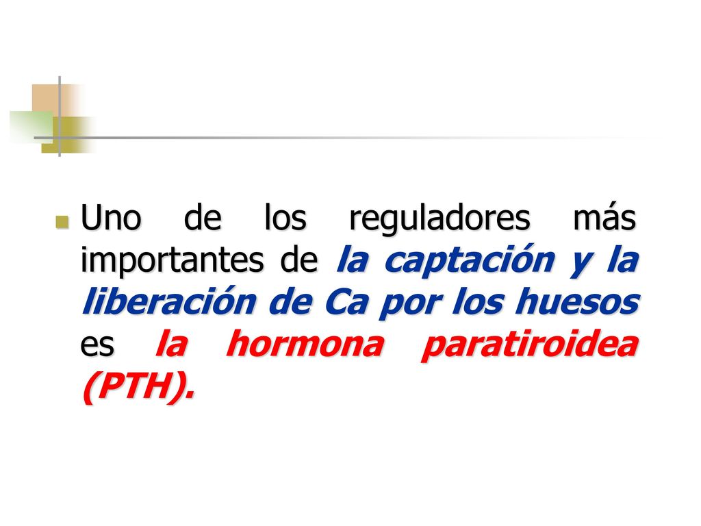 Uno de los reguladores más importantes de la captación y la liberación de Ca por los huesos es la hormona paratiroidea (PTH).