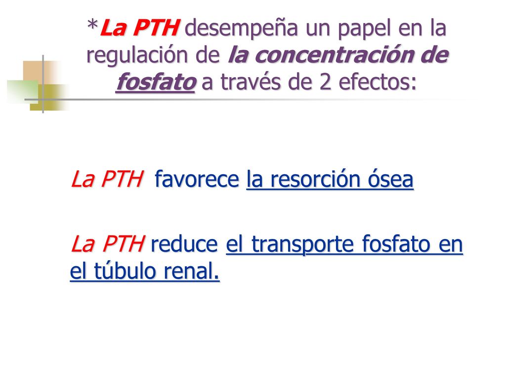 *La PTH desempeña un papel en la regulación de la concentración de fosfato a través de 2 efectos: