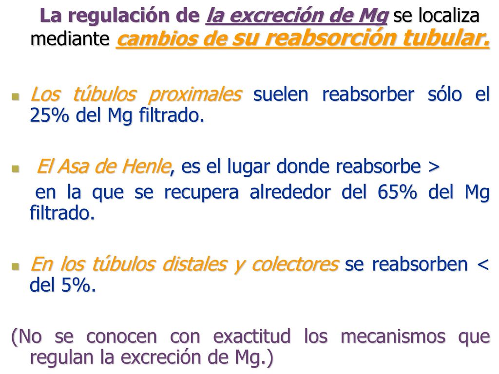 La regulación de la excreción de Mg se localiza mediante cambios de su reabsorción tubular.