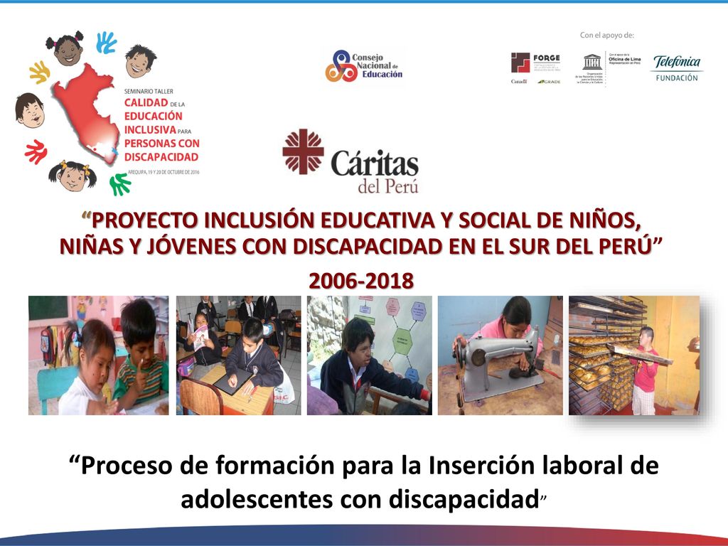 PROYECTO INCLUSIÓN EDUCATIVA Y SOCIAL DE NIÑOS, NIÑAS Y JÓVENES CON DISCAPACIDAD EN EL SUR DEL PERÚ