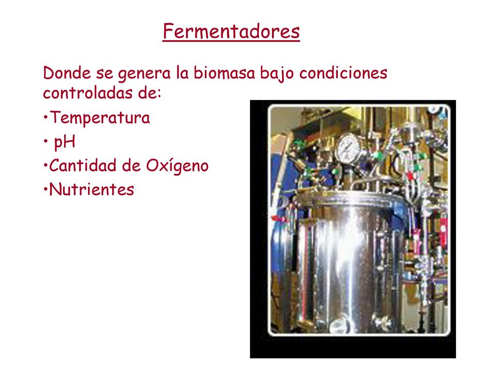 Fermentadores Donde se genera la biomasa bajo condiciones controladas de: Temperatura. pH. Cantidad de Oxígeno.