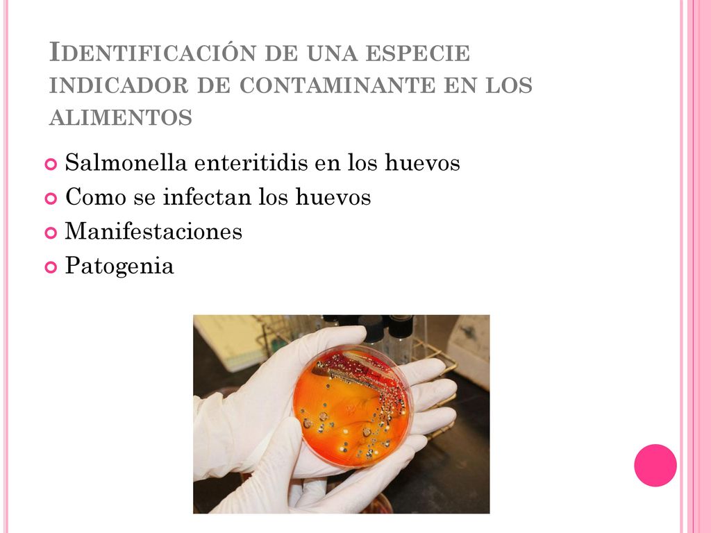 Identificación de una especie indicador de contaminante en los alimentos