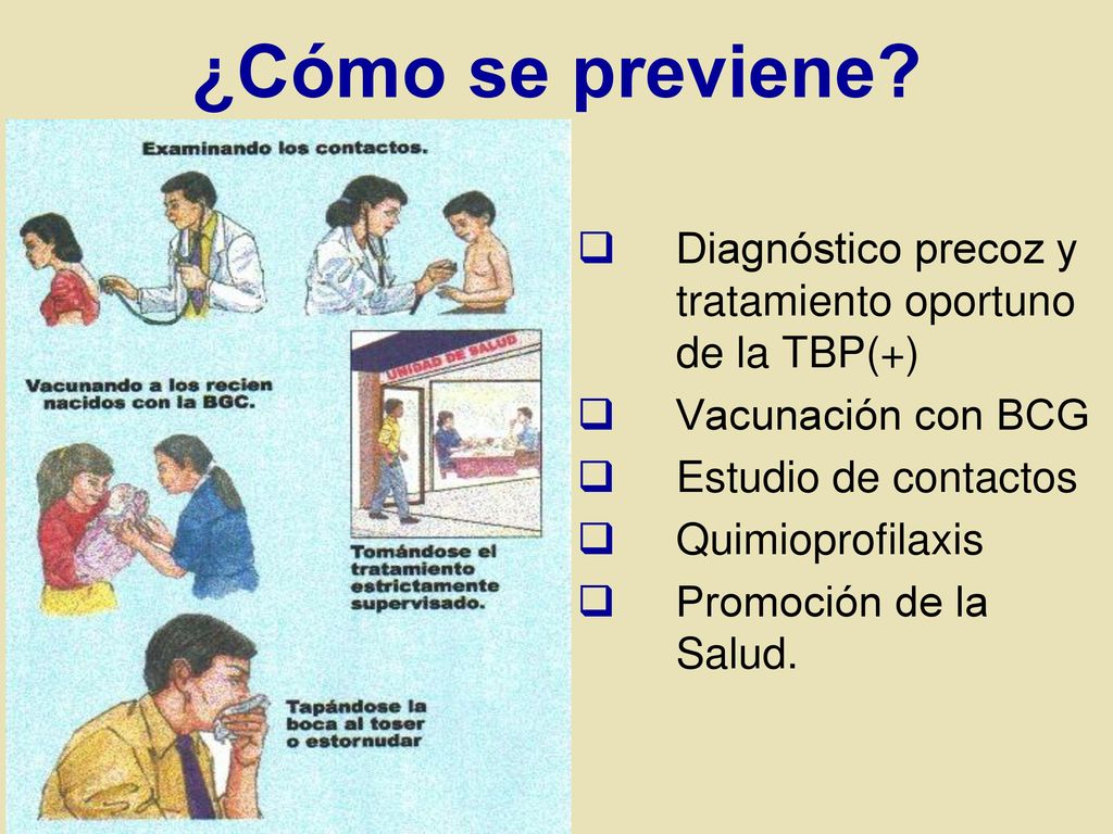 ¿Cómo se previene Diagnóstico precoz y tratamiento oportuno de la TBP(+) Vacunación con BCG. Estudio de contactos.
