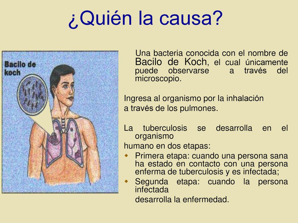 ¿Quién la causa Una bacteria conocida con el nombre de Bacilo de Koch, el cual únicamente puede observarse a través del microscopio.
