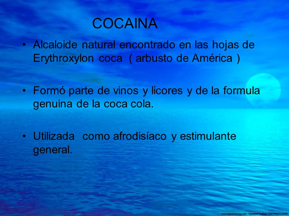 COCAINA Alcaloide natural encontrado en las hojas de Erythroxylon coca ( arbusto de América )