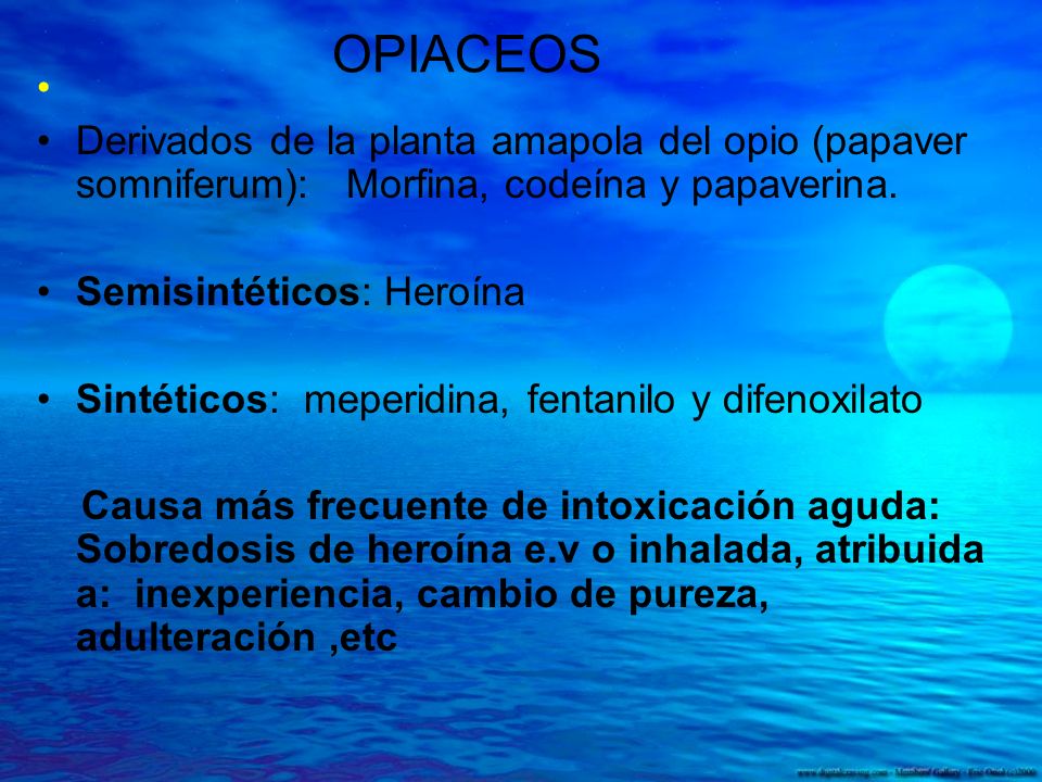 OPIACEOS Derivados de la planta amapola del opio (papaver somniferum): Morfina, codeína y papaverina.