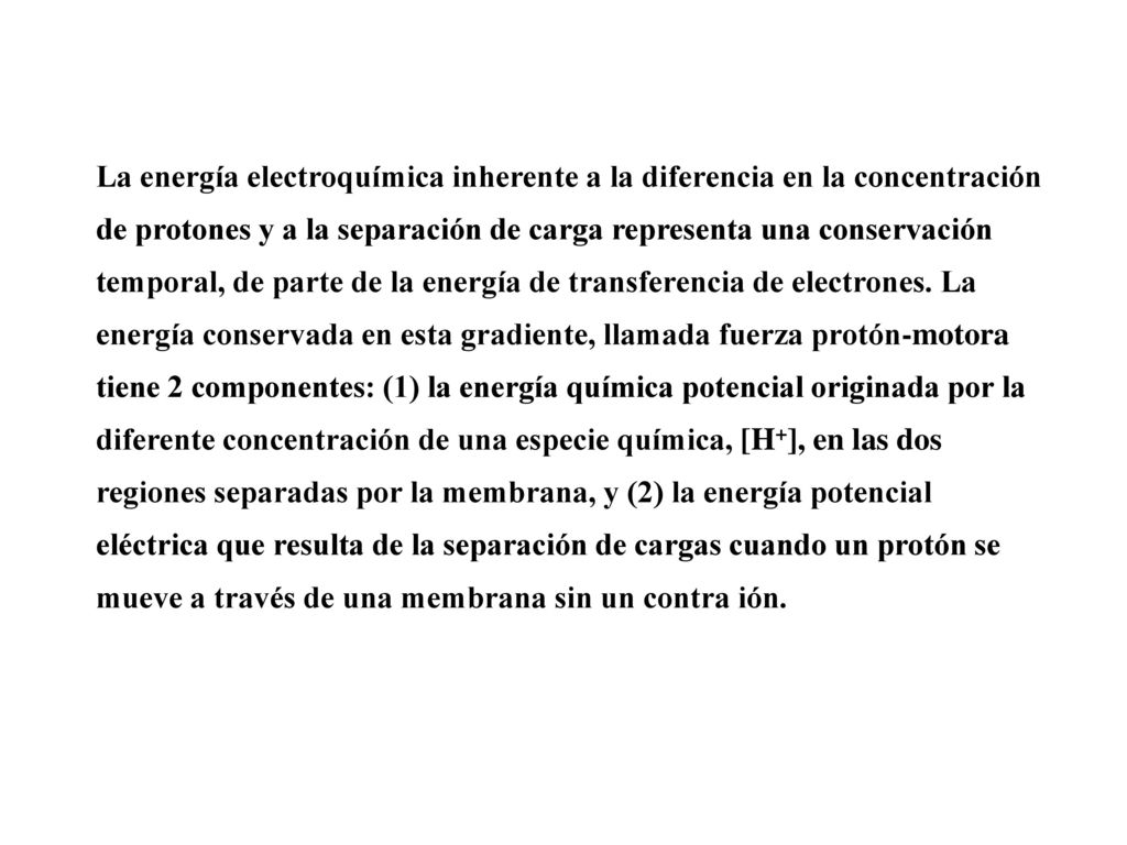 La energía electroquímica inherente a la diferencia en la concentración de protones y a la separación de carga representa una conservación temporal, de parte de la energía de transferencia de electrones.