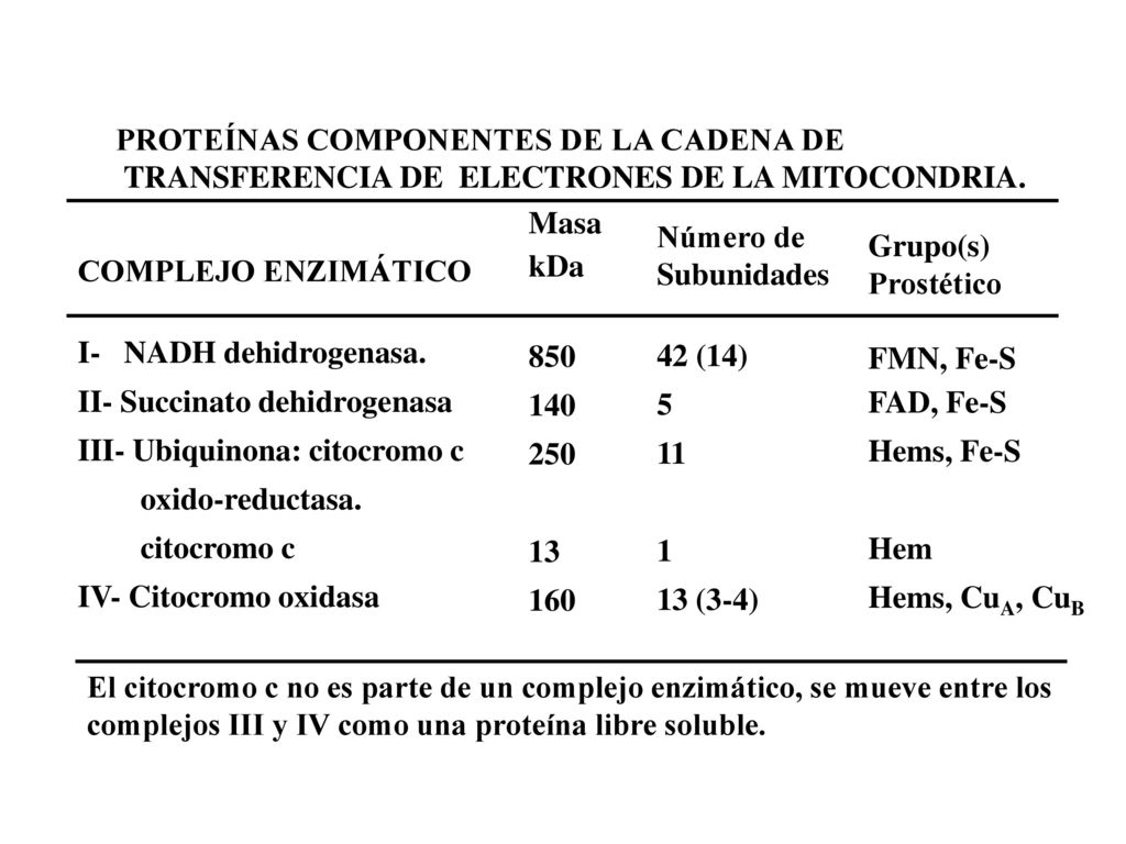Número de Subunidades. 42 (14) (3-4) PROTEÍNAS COMPONENTES DE LA CADENA DE. TRANSFERENCIA DE ELECTRONES DE LA MITOCONDRIA.