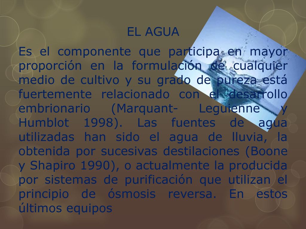 EL AGUA Es el componente que participa en mayor proporción en la formulación de cualquier medio de cultivo y su grado de pureza está fuertemente relacionado con el desarrollo embrionario (Marquant- Leguienne y Humblot 1998).